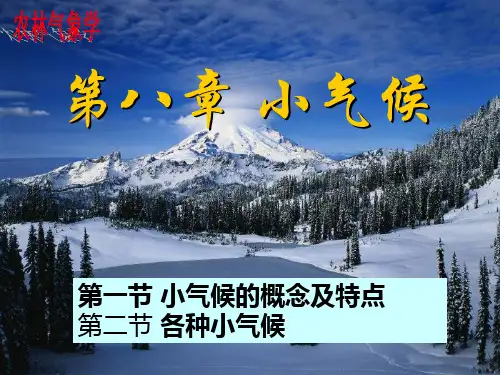 《小气候》气象学课件