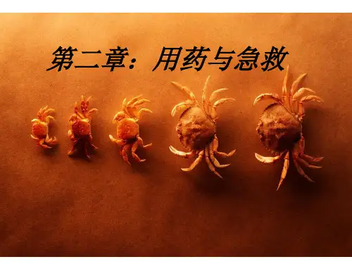 人教版生物八年级下册8.2用药与急救 课件 1