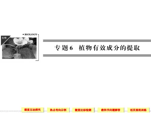 2020人教版高中生物选修一61植物芳香油的提取ppt同步课件