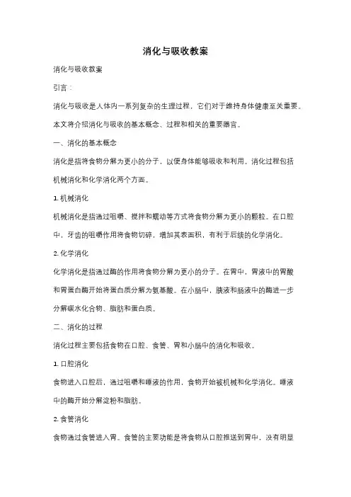 消化与吸收教案