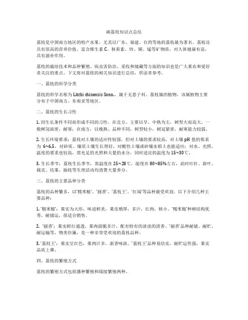 画荔枝知识点总结