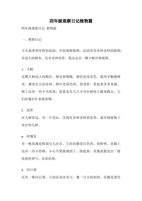 四年级观察日记植物篇