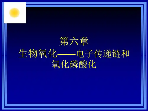 第七章生物氧化——电子传递与氧化磷酸化作用 共59页PPT资料