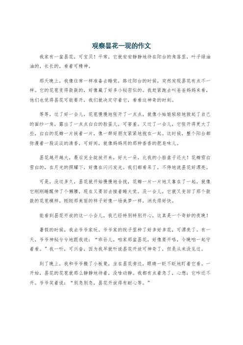 观察昙花一现的作文