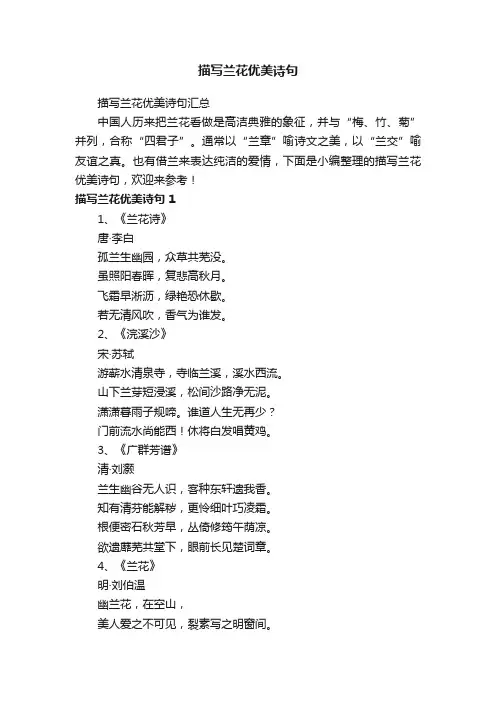 描写兰花优美诗句汇总