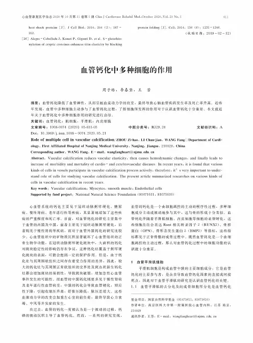 血管钙化中多种细胞的作用