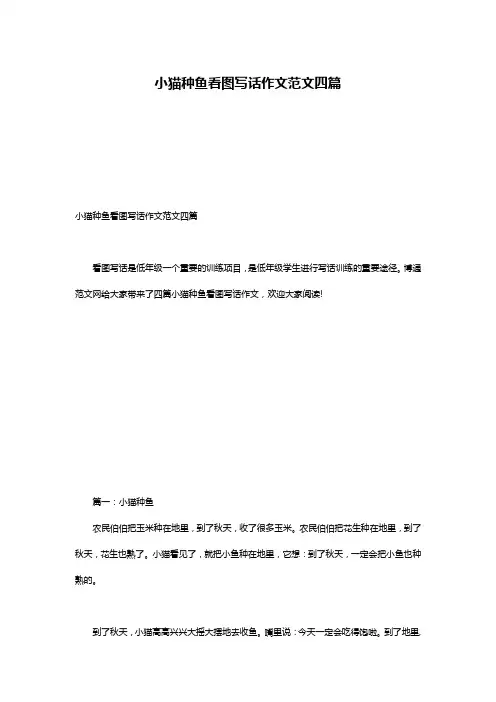 小猫种鱼看图写话作文范文四篇