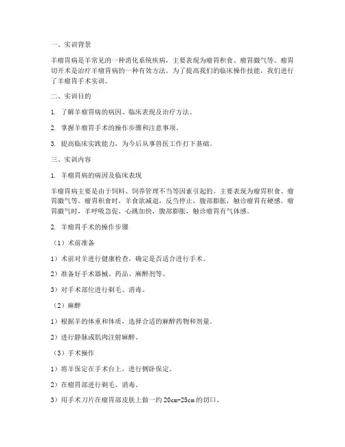 羊瘤胃手术实训报告