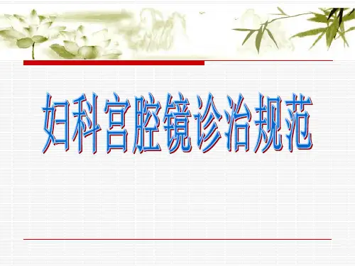 妇科宫腔镜诊治规范