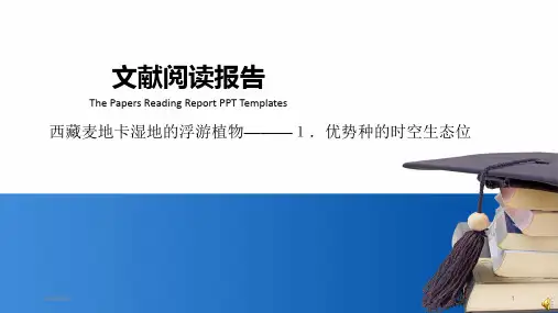 论文读书报告