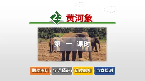黄河象PPT