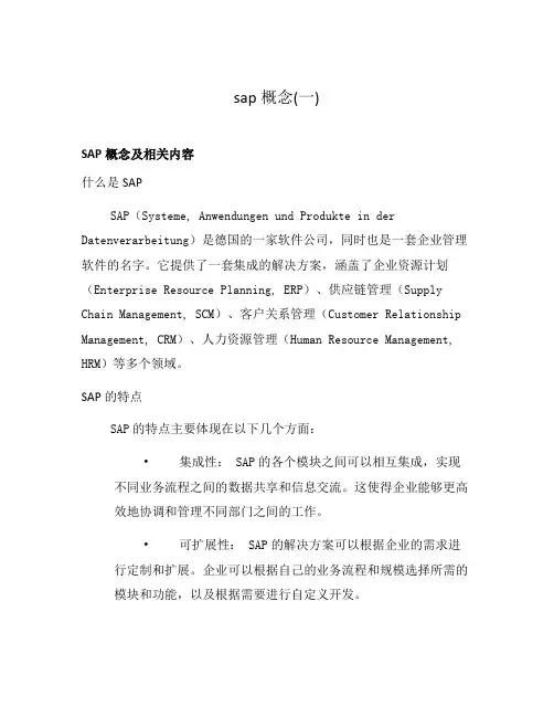 sap概念(一)