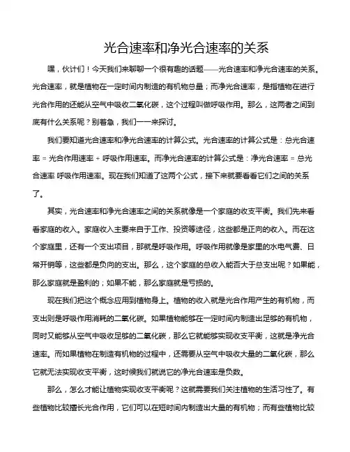 光合速率和净光合速率的关系