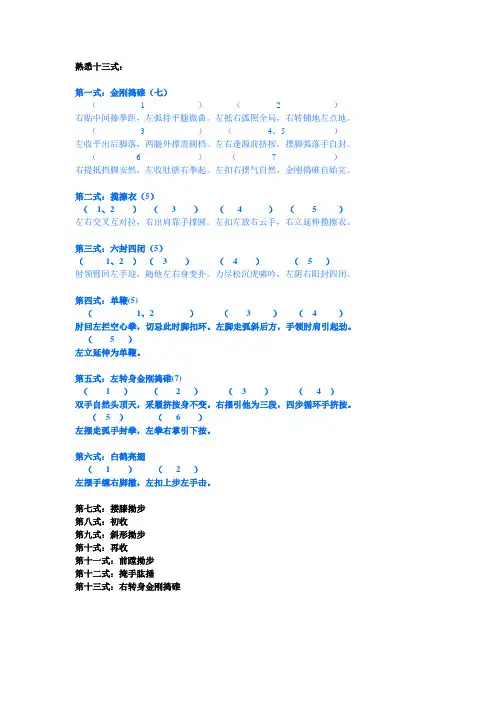 太极十三式