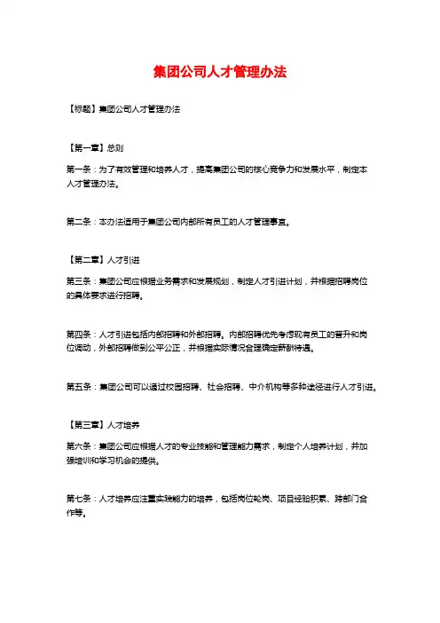 集团公司人才管理办法