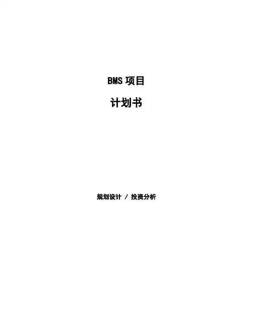 电池管理系统(BMS)项目计划书