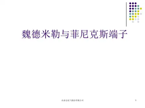 魏德米勒与菲尼克斯端子