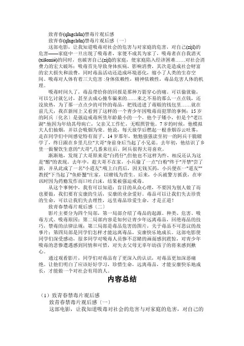 致青春禁毒片观后感