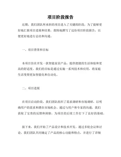 项目阶段报告