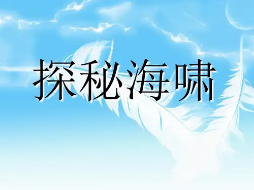 海啸ppt