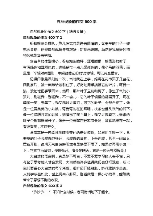 自然现象的作文600字（精选3篇）
