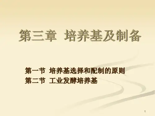 培养基及制备PPT课件