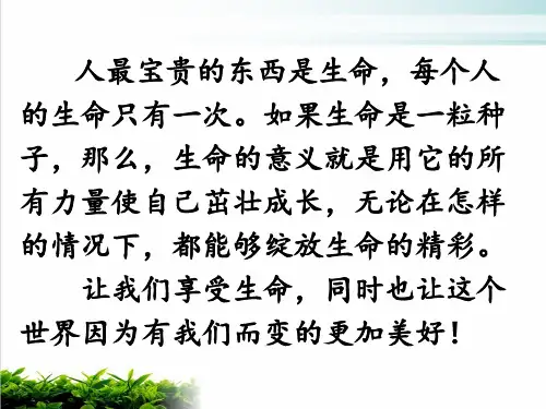 《感受生命的意义》部编版道德与法治ppt精美课件