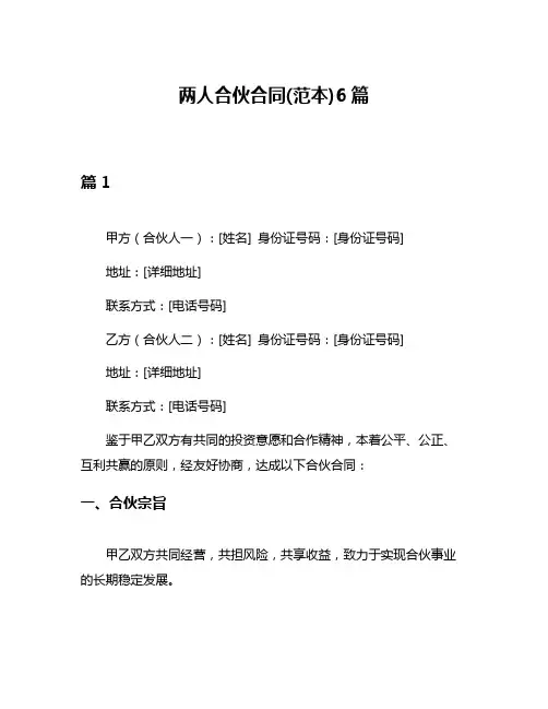 两人合伙合同(范本)6篇