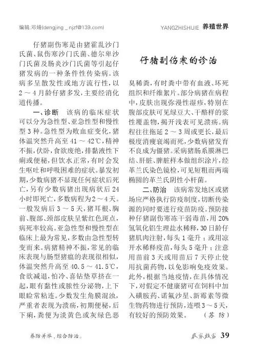 仔猪副伤寒的诊治