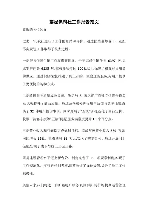 基层供销社工作报告范文