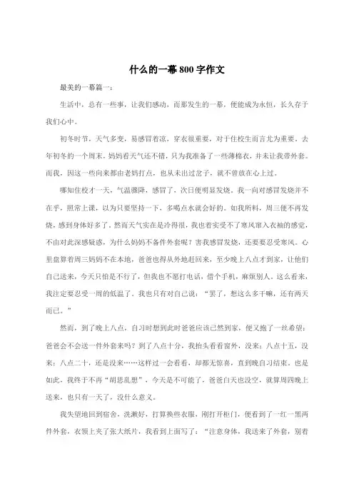 什么的一幕800字作文