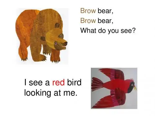 Brown bear绘本