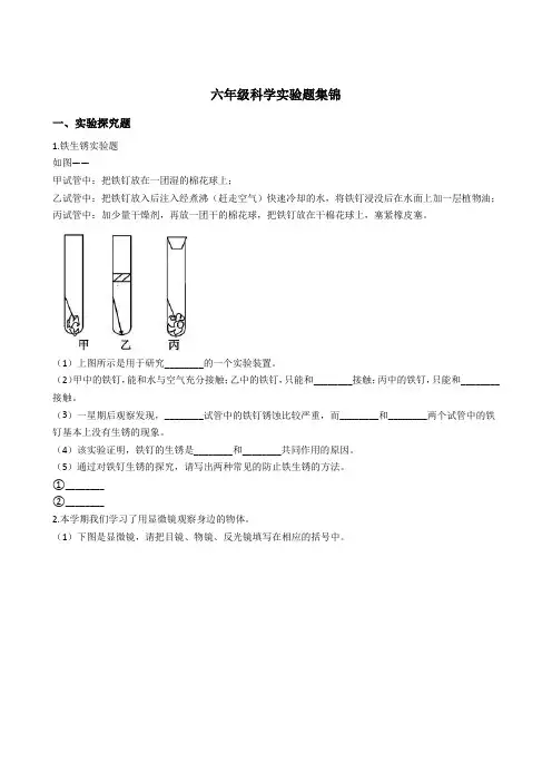 六年级科学下册实验题(含答案)