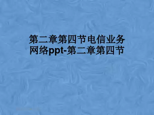 第二章第四节电信业务网络ppt-第二章第四节