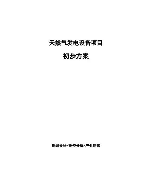 天然气发电设备项目初步方案