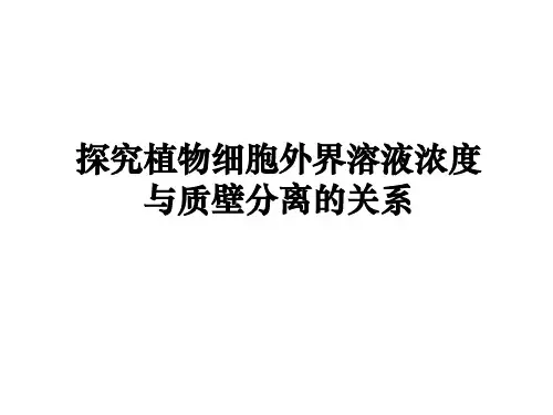 探究植物细胞外界溶液浓度与质壁分离的关系(实验)