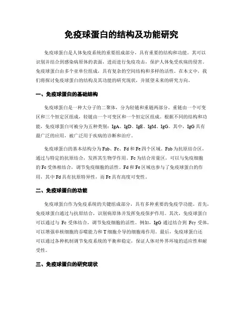 免疫球蛋白的结构及功能研究