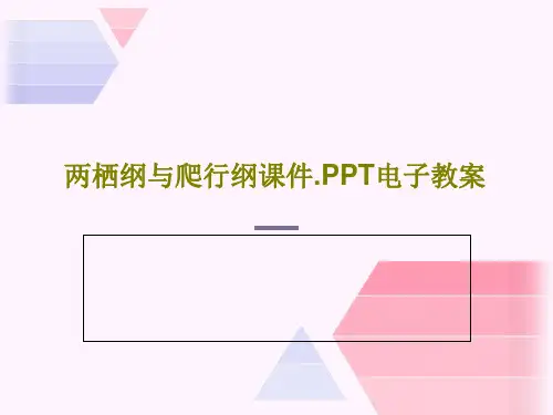 两栖纲与爬行纲课件.PPT电子教案共98页