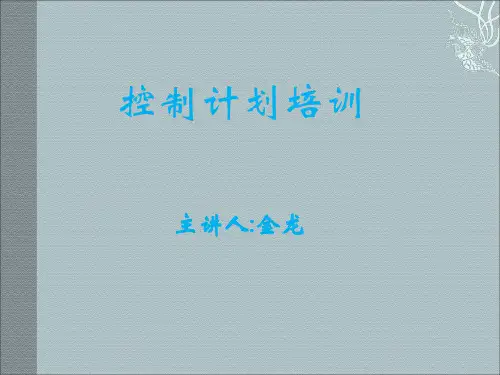CP控制计划