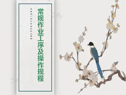 常规作业工序及操作规程
