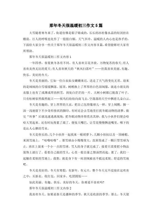 那年冬天很温暖初三作文5篇