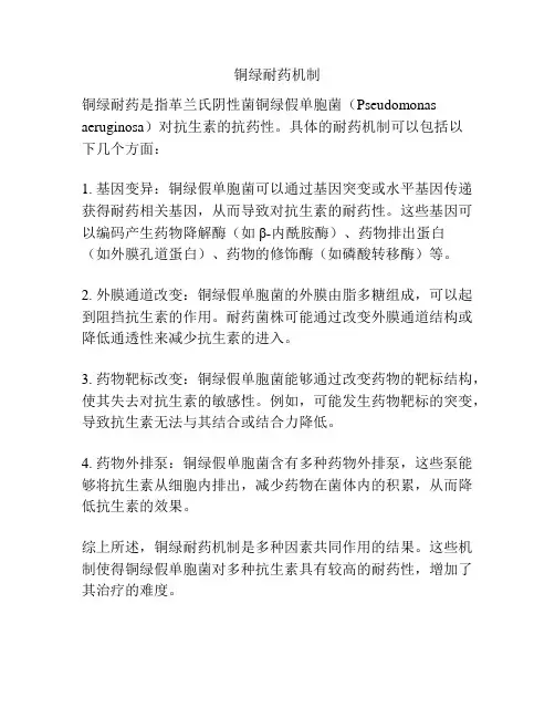 铜绿耐药机制