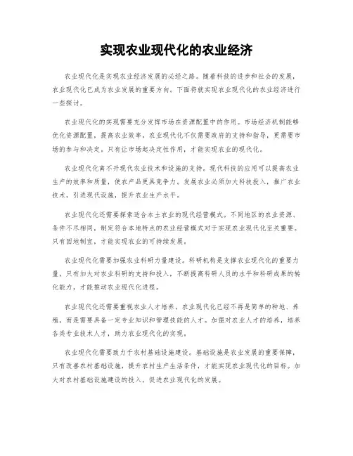 实现农业现代化的农业经济