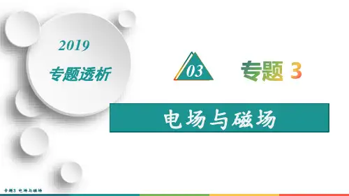 高三物理二轮复习专题3 电场与磁场