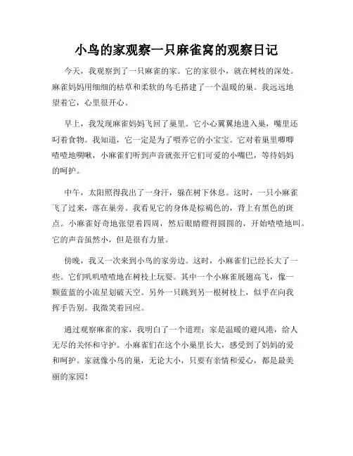 小学三年级作文小鸟的家观察一只麻雀窝的观察日记