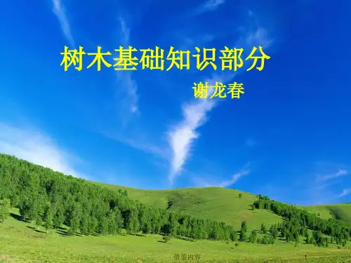 树木知识[知识荟萃]