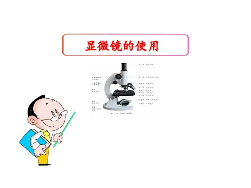 2019年全国中考生物 复习：显微镜的使用课件 (共36张PPT)