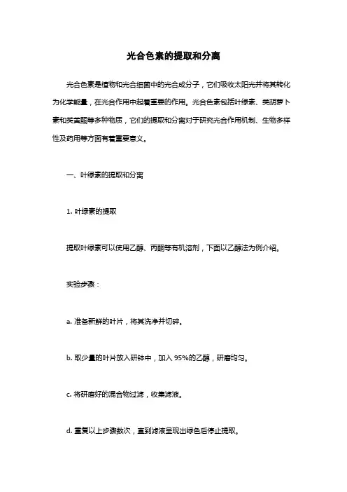 光合色素的提取和分离