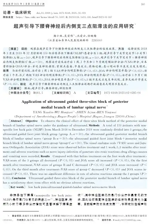 超声引导下腰脊神经后内侧支三点阻滞法的应用研究