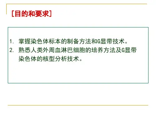 人类染色体标本的制备及G显带核型分析